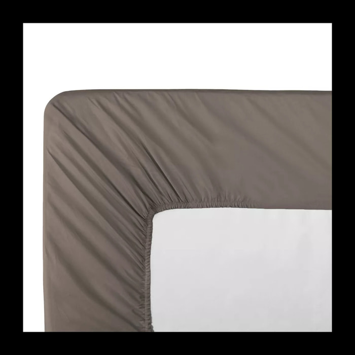 Drap housse duo percale de coton uni brun Olana pin