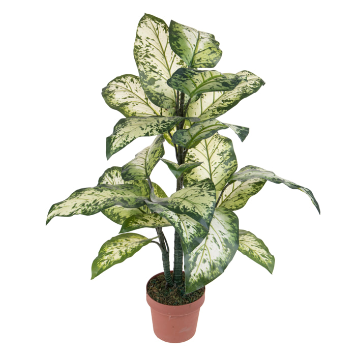 Aglaonema In Vaso Con 22 Foglie. Altezza 100 Cm - Pezzi 1 - 53X93X53cm - Colore: Verde - Bianchi Dino - Piante Artificiali