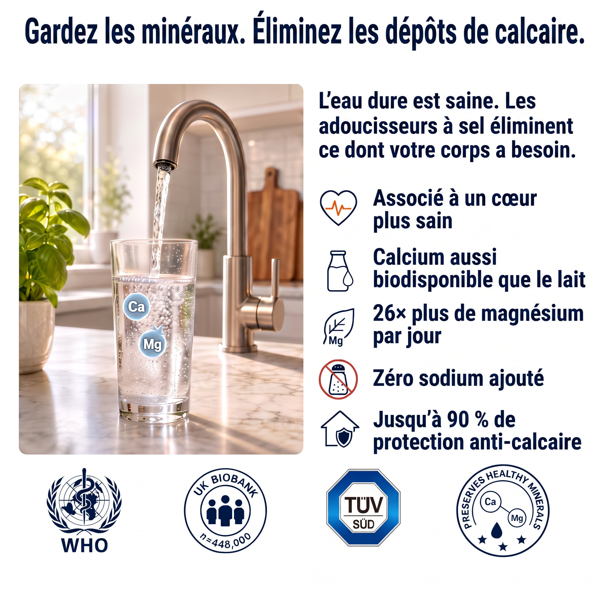 Alternative adoucisseur d'eau KalyxX Red Line 3/4" (IPSKXFRRG34)