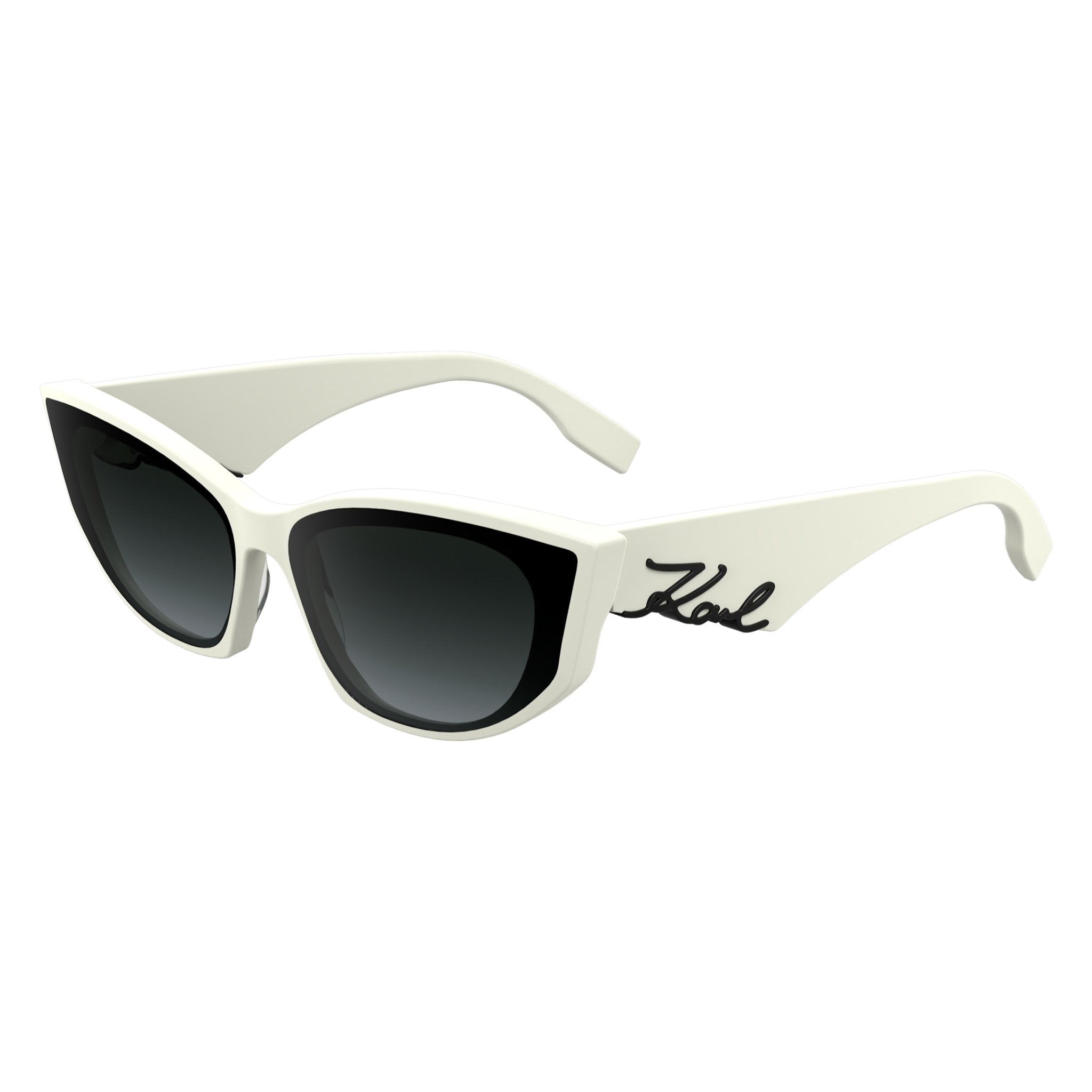 Gafas de sol Karl Lagerfeld Mujer KL6162S-105