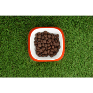 Pienso Natural Grain Free Superpremium Salmón 12 kg Planeta Huerto
