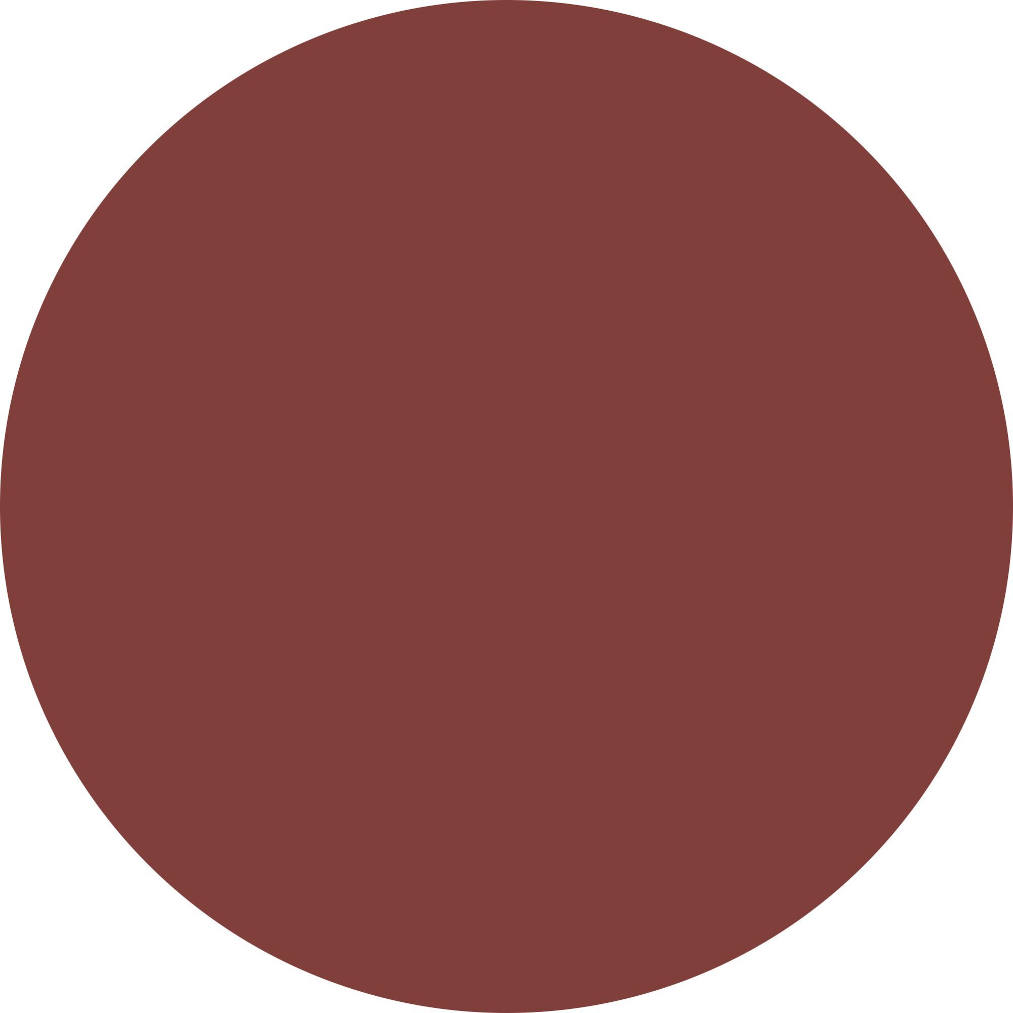 BLURRING TOUCH – POWDERY LIPSTICK Rossetto effetto velluto con applicatore cushion