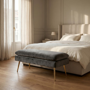 Panca Contenitore Imbottita in Effetto Velluto con Ampio Vano Portaoggetti, Seduta Confortevole e Gambe in Acciaio, Design Moderno per Camera da Letto, Ingresso e Soggiorno