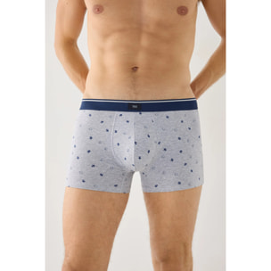Boxer