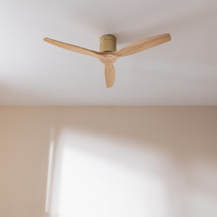 Cecotec Ventilateur de plafond sans lampe EnergySilence Aero 5500 Aqua GoldLight