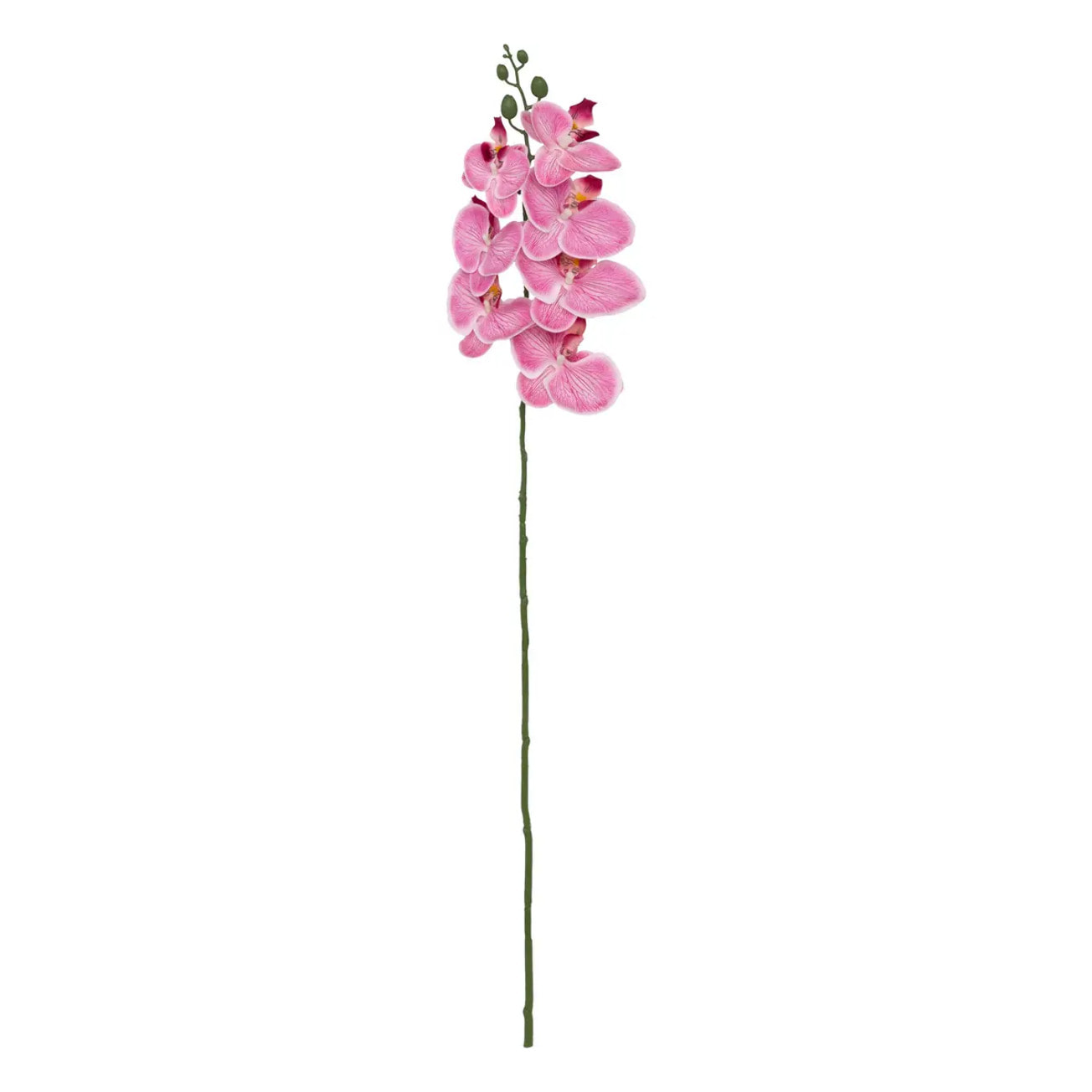 Tige d'orchidée artificielle "Gisele" H95cm