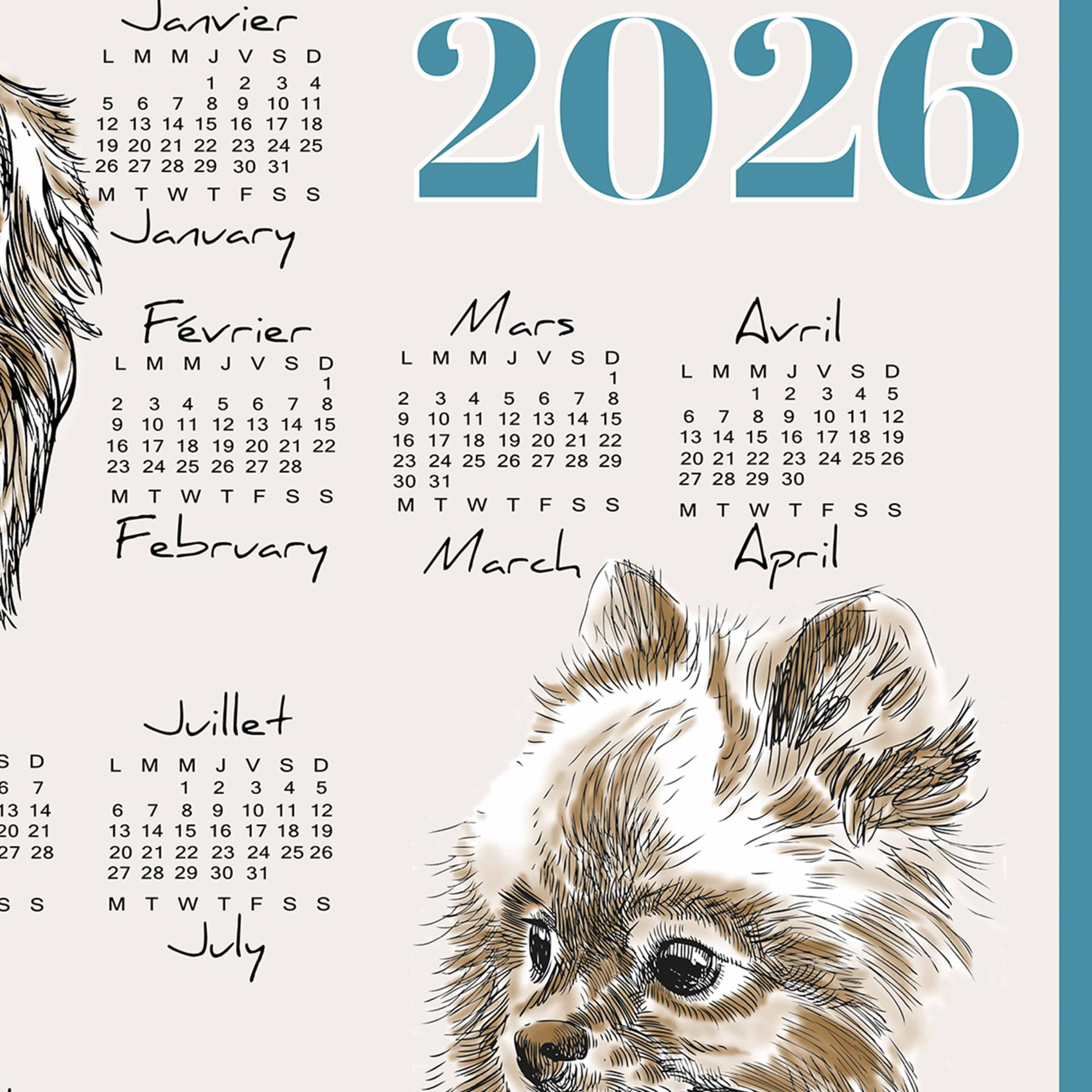 Torchon calendrier 2026 motif chiens coton - Bleu