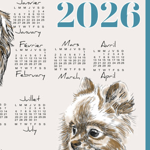 Torchon calendrier 2026 motif chiens coton - Bleu