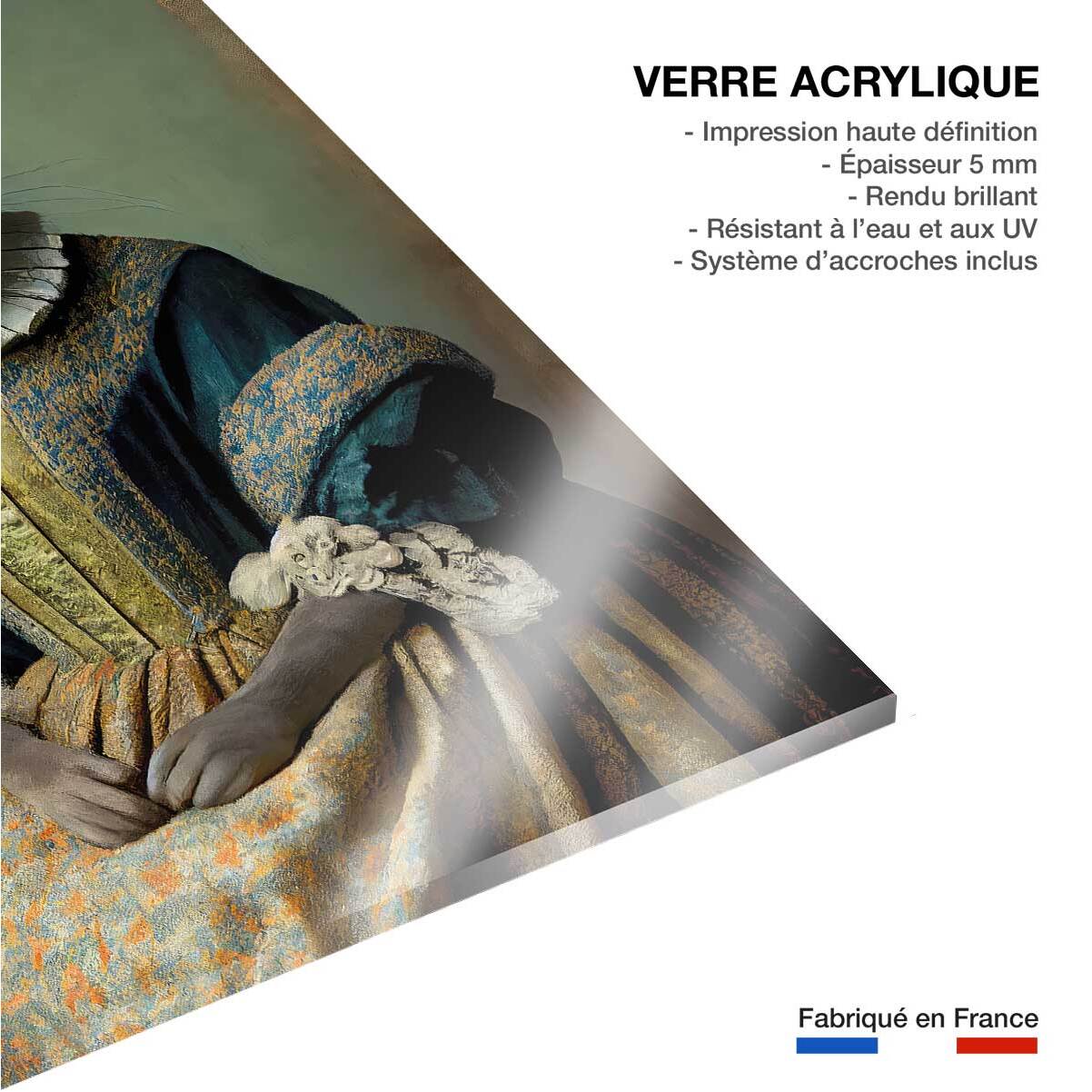 Tableau lapin madame bunny  Tableau plexiglas