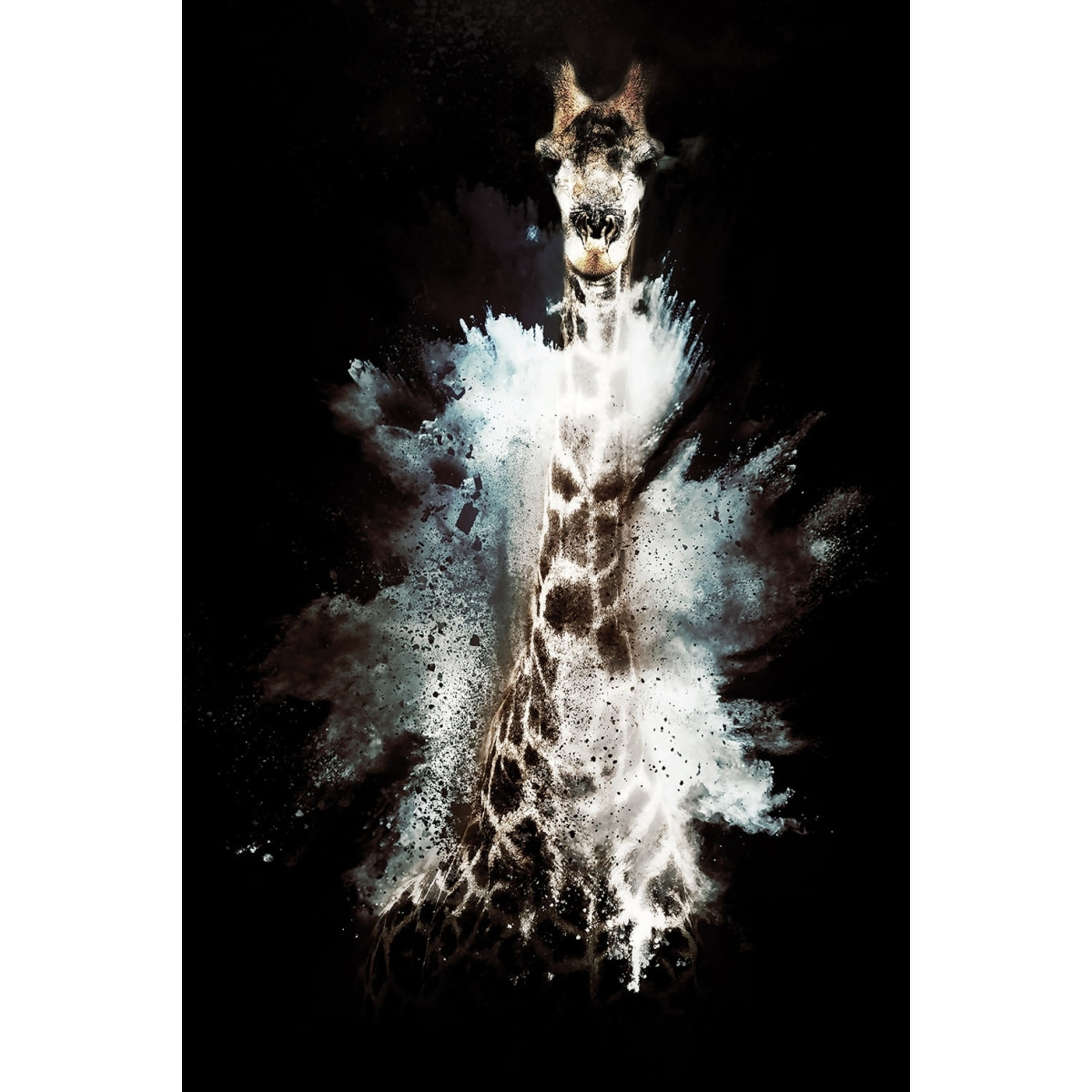 Tableau wild explosion girafe Tableau alu Dibond