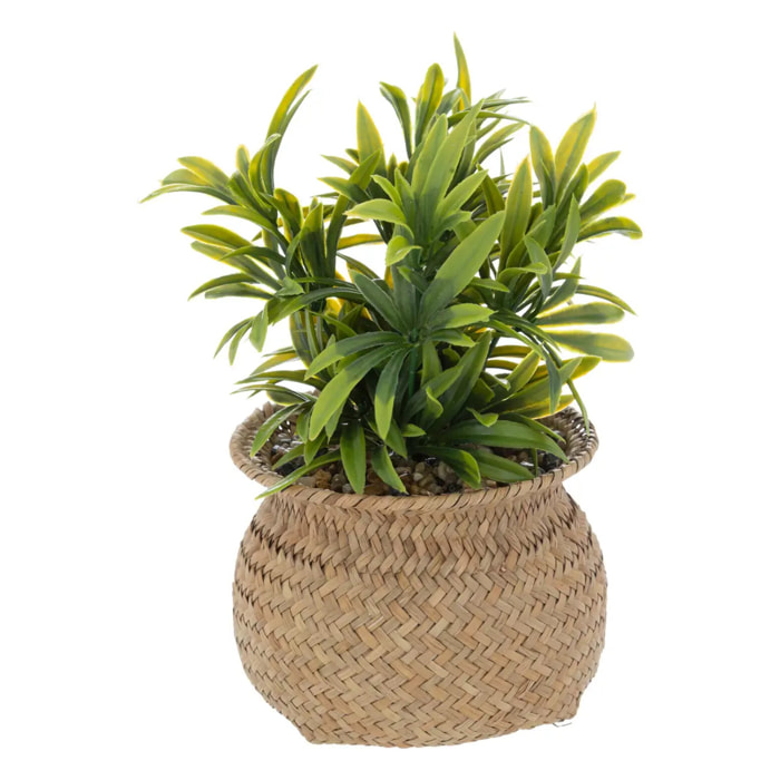 Plante artificielle en pot "Jiling" en roseau H20cm