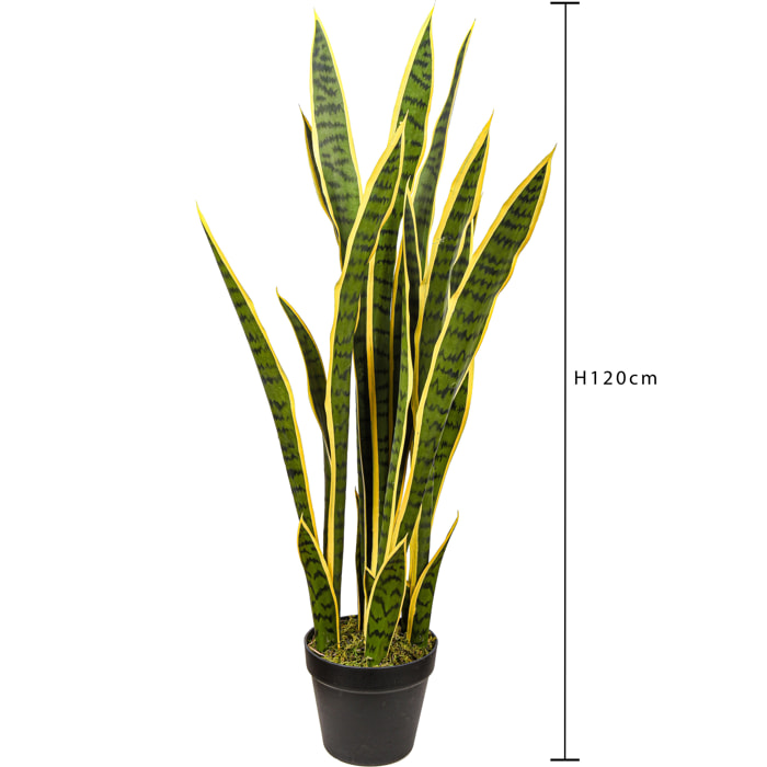 Sanseveria Trifasciata con vaso - Pezzi 1 - 30X120X15 - Colore: Altro - Bianchi Dino - Piante Artificiali