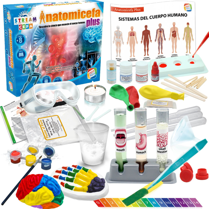 ANATOMICEFA PLUS