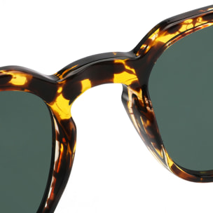 Gafas de Sol Sexton TK00135 - C2 - 24 de Acetato Inyectado Hombre 48 mm