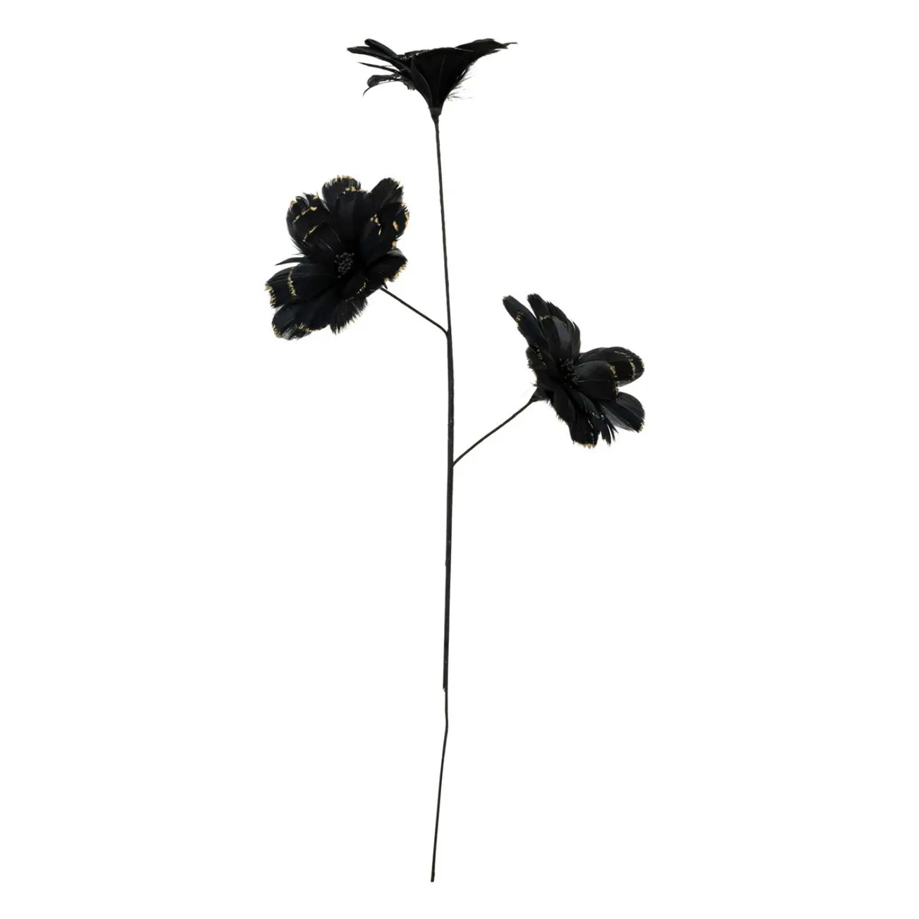 Branche plume noir H65