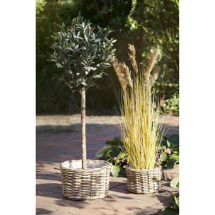 Kalak - Set 2 cesti bassi in rattan kubu naturale