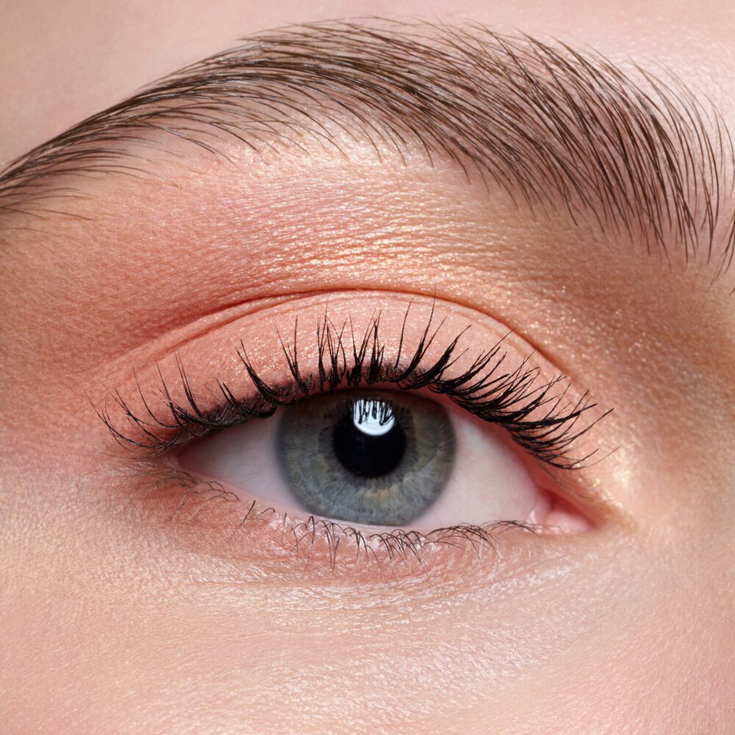 The Warm Honey - Palette Pigmentation Intense 9g