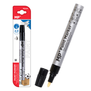 PACK 12 MARKER PER PITTURA ARGENTO