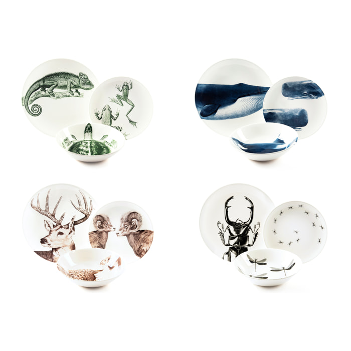 Servizio piatti 12 pezzi Excelsa – Faune & Flore, Ceramica Multicolore