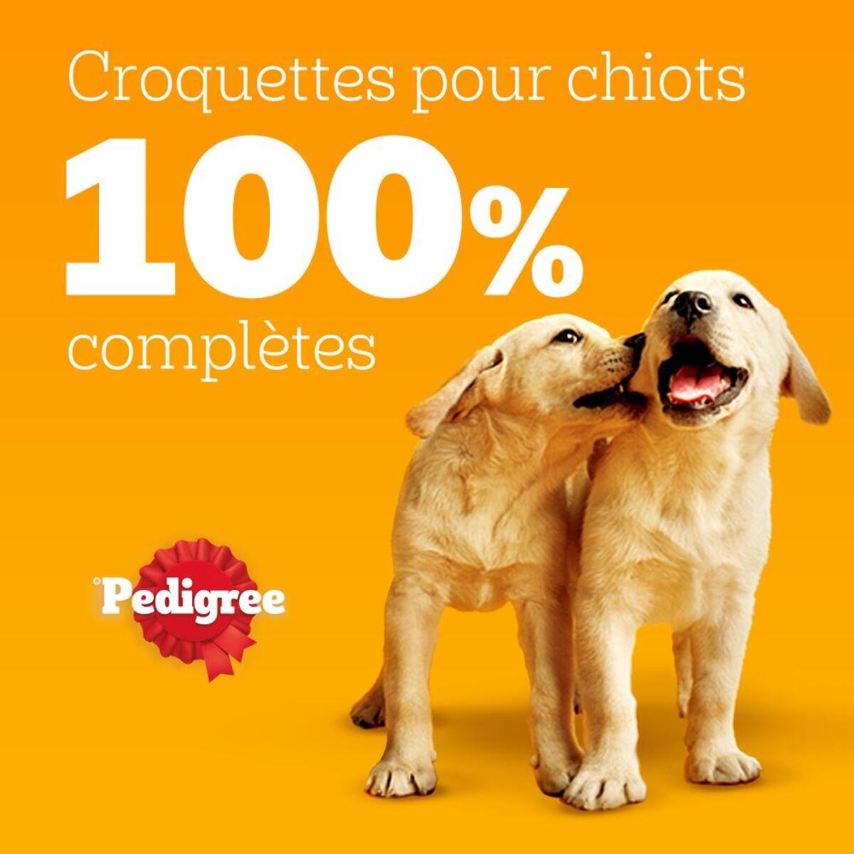 PEDIGREE JUNIOR Croquettes à la Volaille et aux Legumes pour chiot 3x3kg