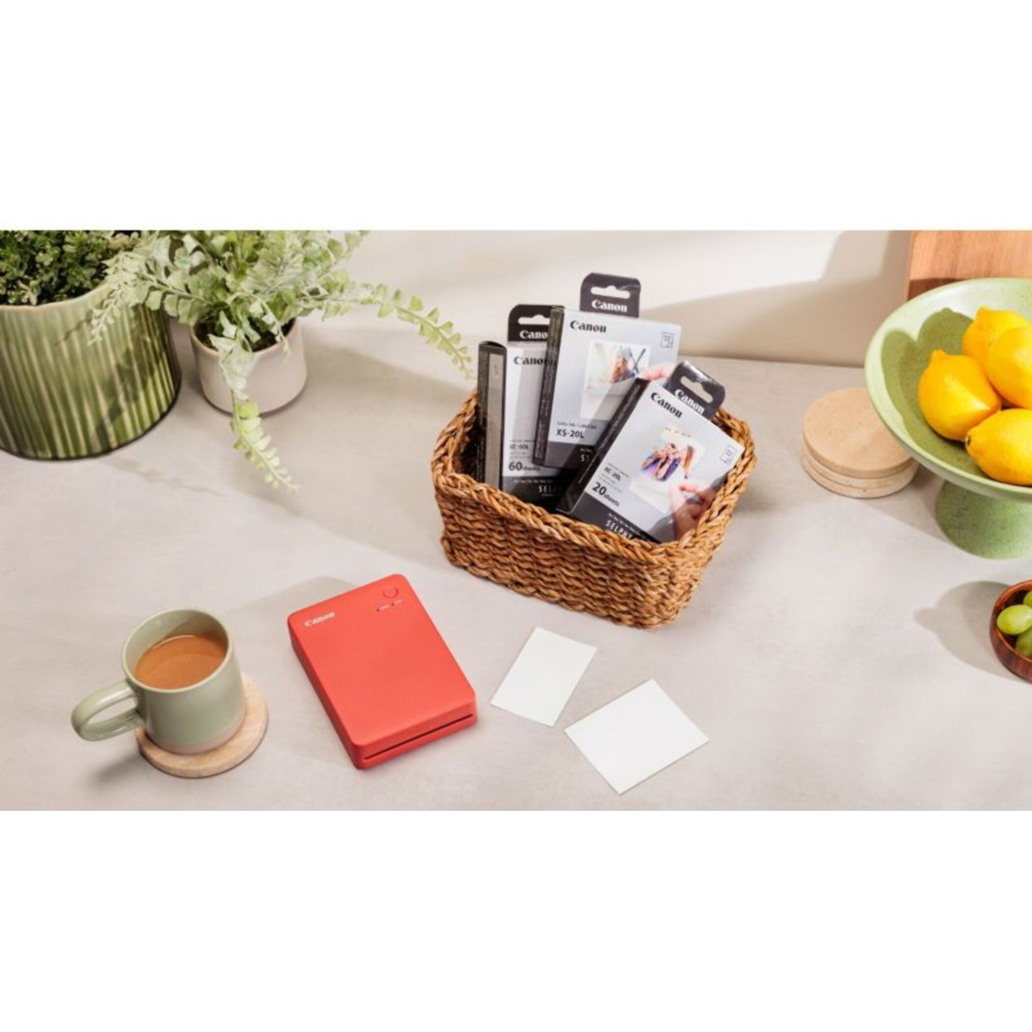 Imprimante photo portable CANON SELPHY QX20 Edition Zootopie 2