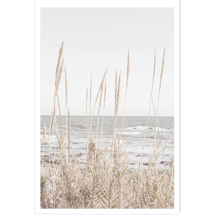 Poster épis au bord de l'eau Affiche seule