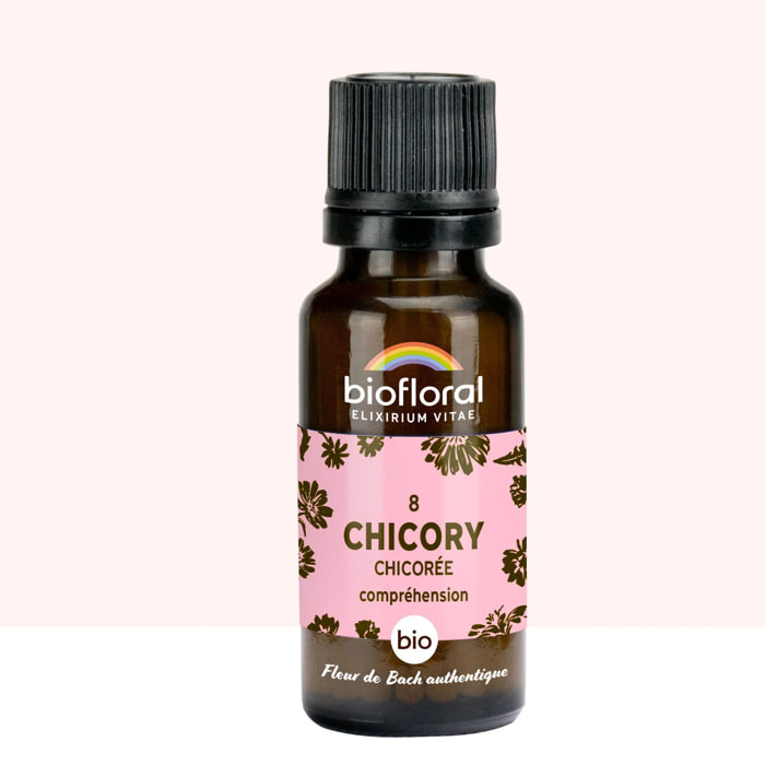 Biofloral - 08 Chicory, Chicorée - Bio - 19,5 gr