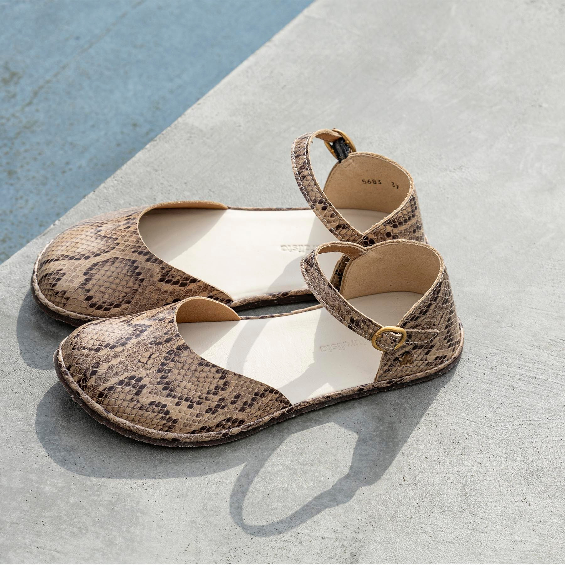 Sandalias N5683 SNAKE CHOCOLATE/ BARE SANDALS color Chocolate