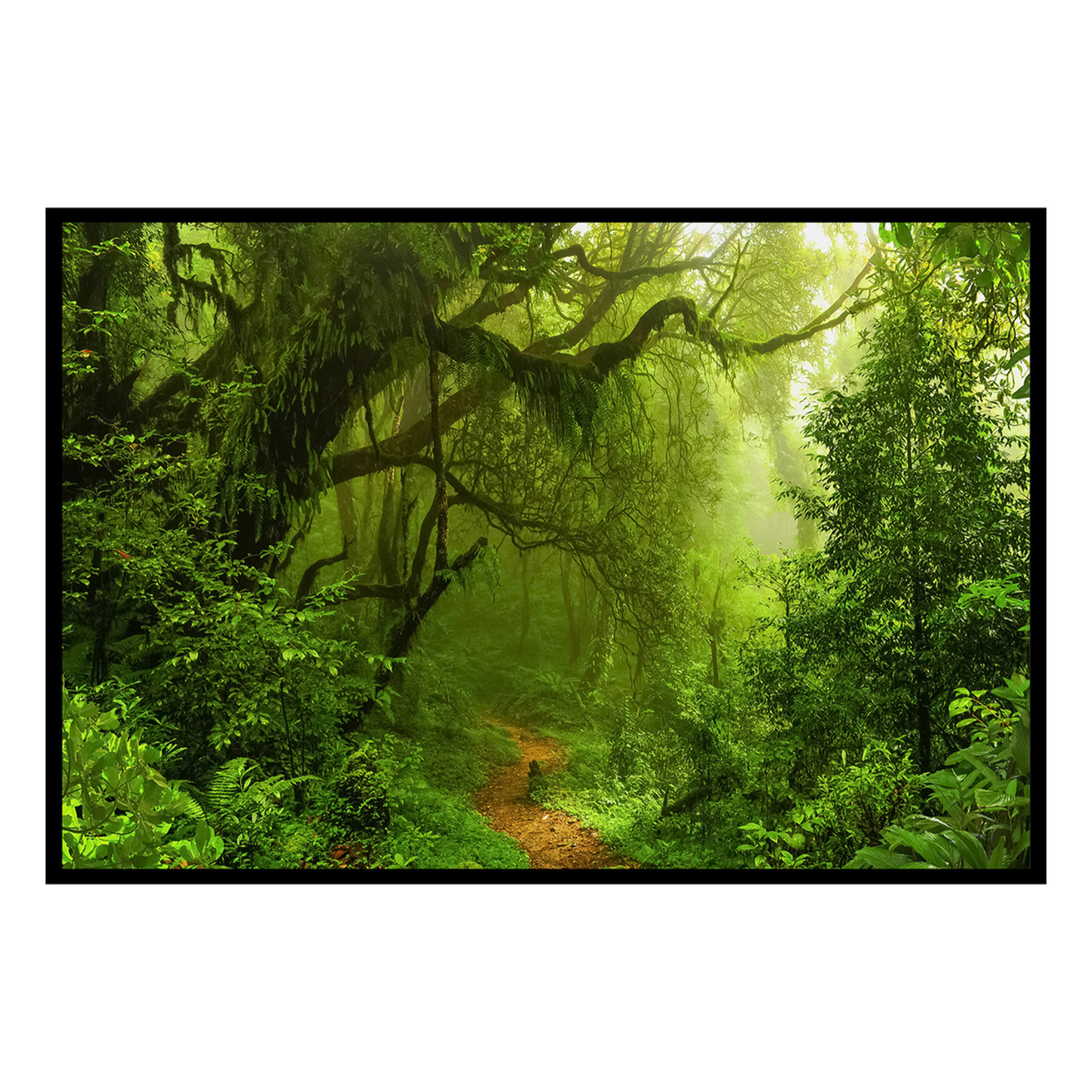 Affiche encadrée – Sentier en forêt tropicale Affiche + cadre en métal - Noir