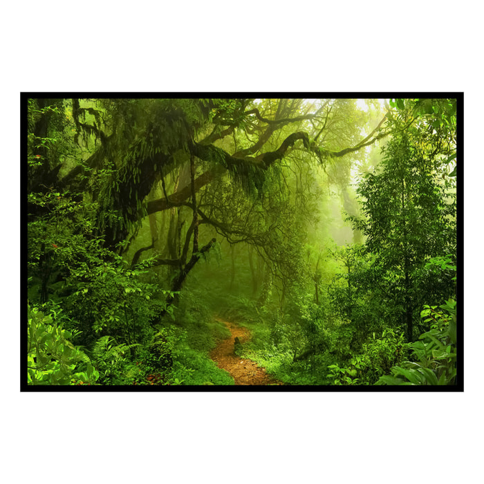 Affiche encadrée – Sentier en forêt tropicale Affiche + cadre en métal - Noir
