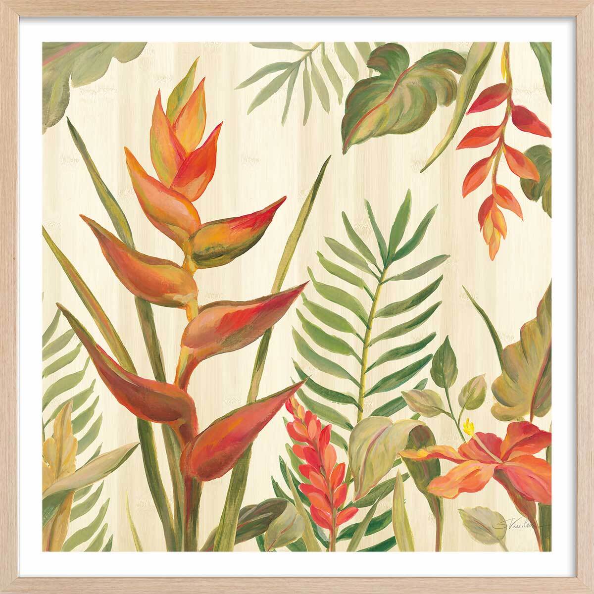 Affiche Oiseaux du paradis en aquarelle Affiche + cadre en bois - Chêne