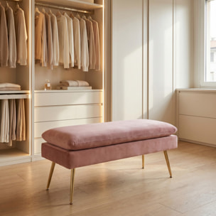 Panca Contenitore Imbottita in Effetto Velluto con Ampio Vano Portaoggetti, Seduta Confortevole e Gambe in Acciaio, Design Moderno per Camera da Letto, Ingresso e Soggiorno