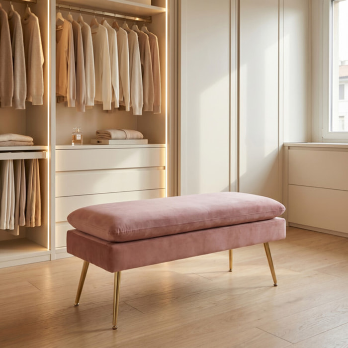 Panca Contenitore Imbottita in Effetto Velluto con Ampio Vano Portaoggetti, Seduta Confortevole e Gambe in Acciaio, Design Moderno per Camera da Letto, Ingresso e Soggiorno