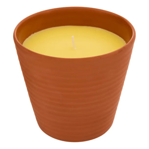 Bougie parfumée 200g Terry citronnelle pot en terre cuite