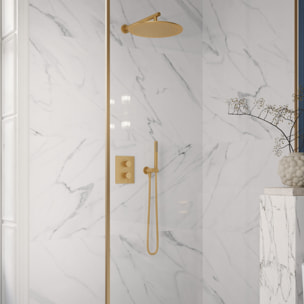 Douchette à main Verve Showers Stick Or brossé