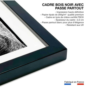 Poster animaux Portrait de chameau Affiche + cadre en bois - Noir