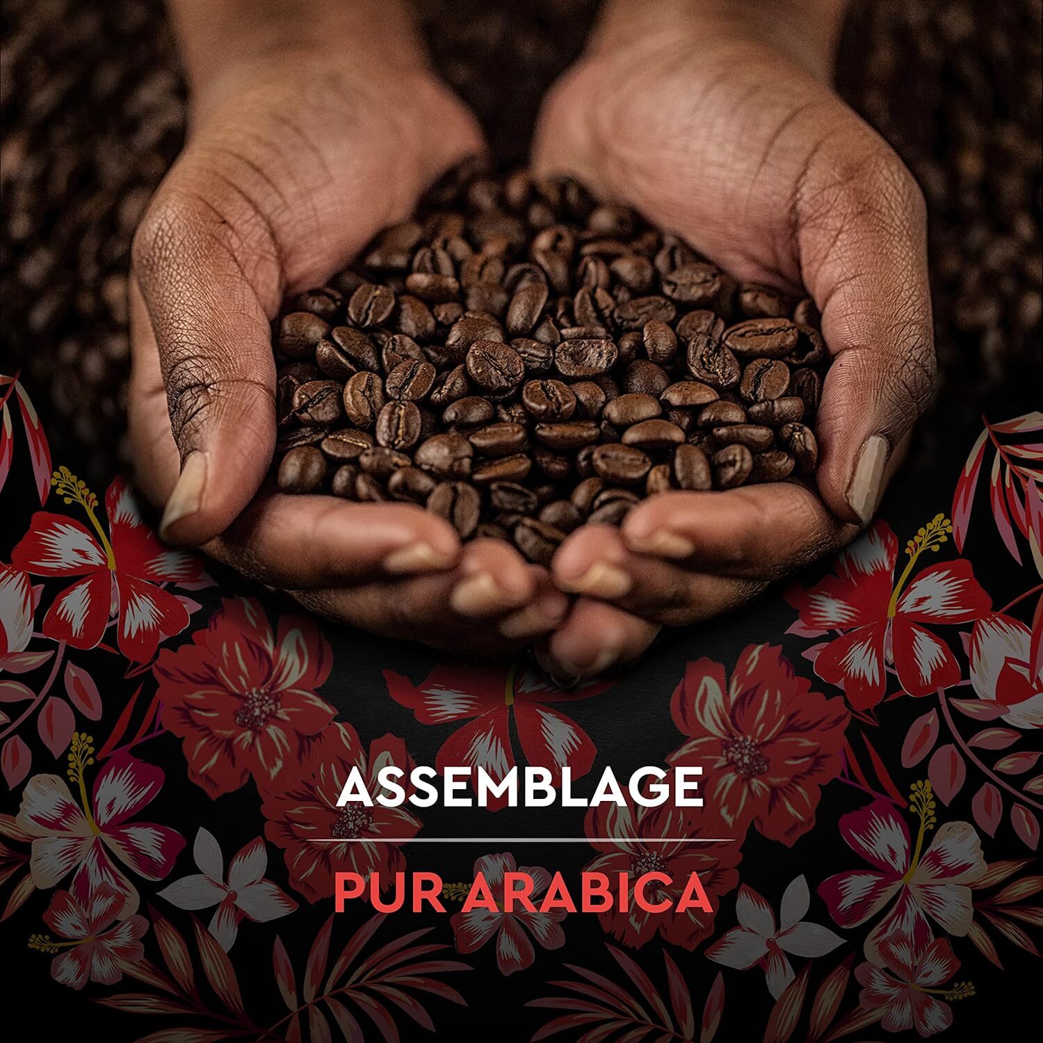 Grains Honduras Bio 1 KG