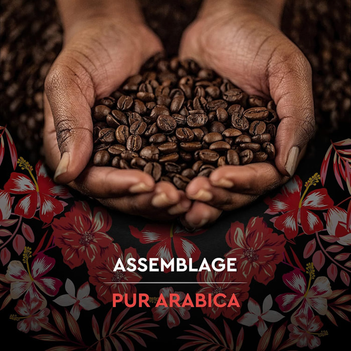 Grains Honduras Bio 1 KG