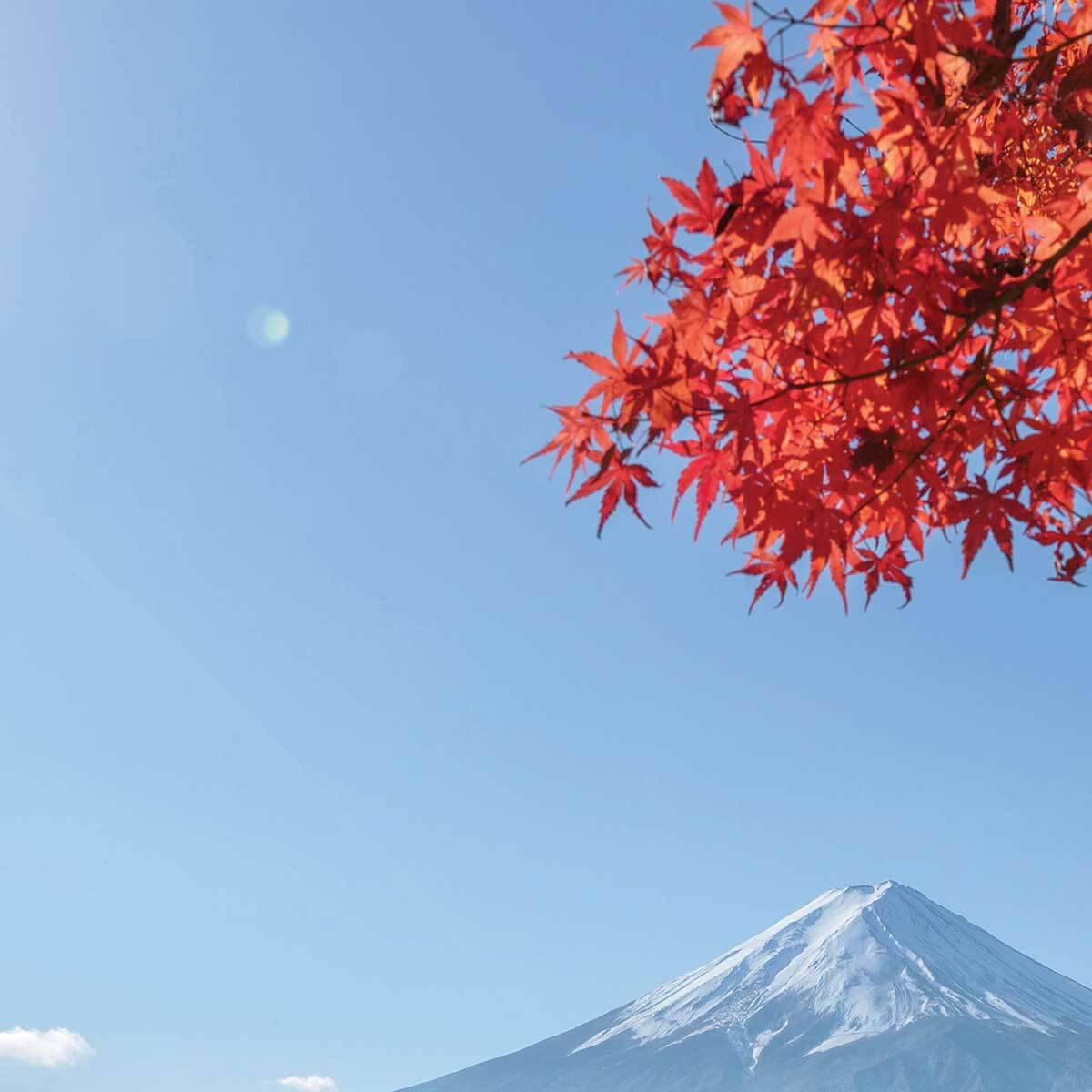 Affiche encadrée mont Fuji automne Japon Affiche + cadre en métal - Noir