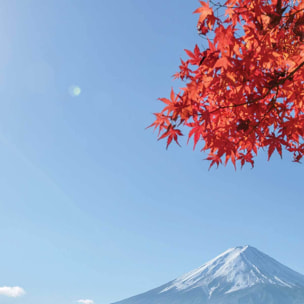 Affiche encadrée mont Fuji automne Japon Affiche + cadre en métal - Noir