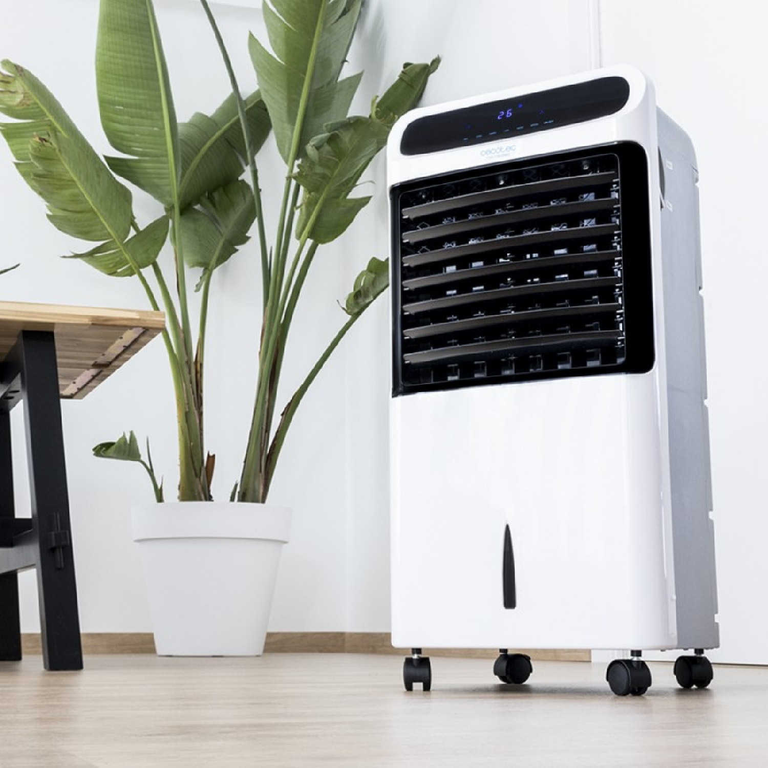 Cecotec Rafraîchisseur d’air Rafraîchisseur d’air par évaporation EnergySilence