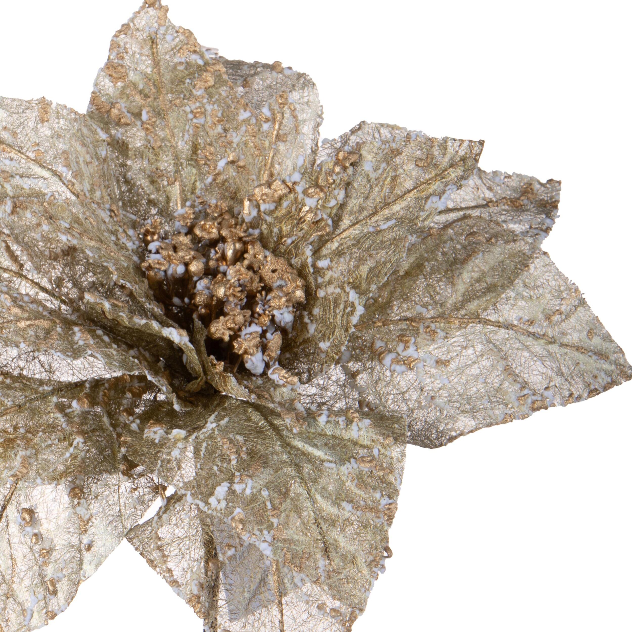 Stella natale - Pezzi 12 - 32xH50x32cm - Bianchi Dino SpA