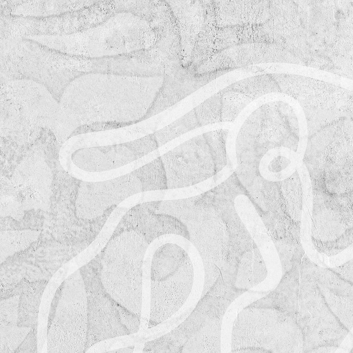 Papier peint panoramique Mahsa gris