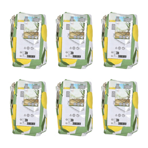Hamac Citrons - Lot De 6