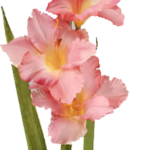 Fiore Di Gladiolo Mini. Altezza 74 Cm - Pezzi 12 - 13X74X7cm - Colore: Rosa - Bianchi Dino - Fiori Artificiali