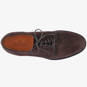 Sebago - Scarpe allacciate Uomo Marrone - WINTHROP SUEDE