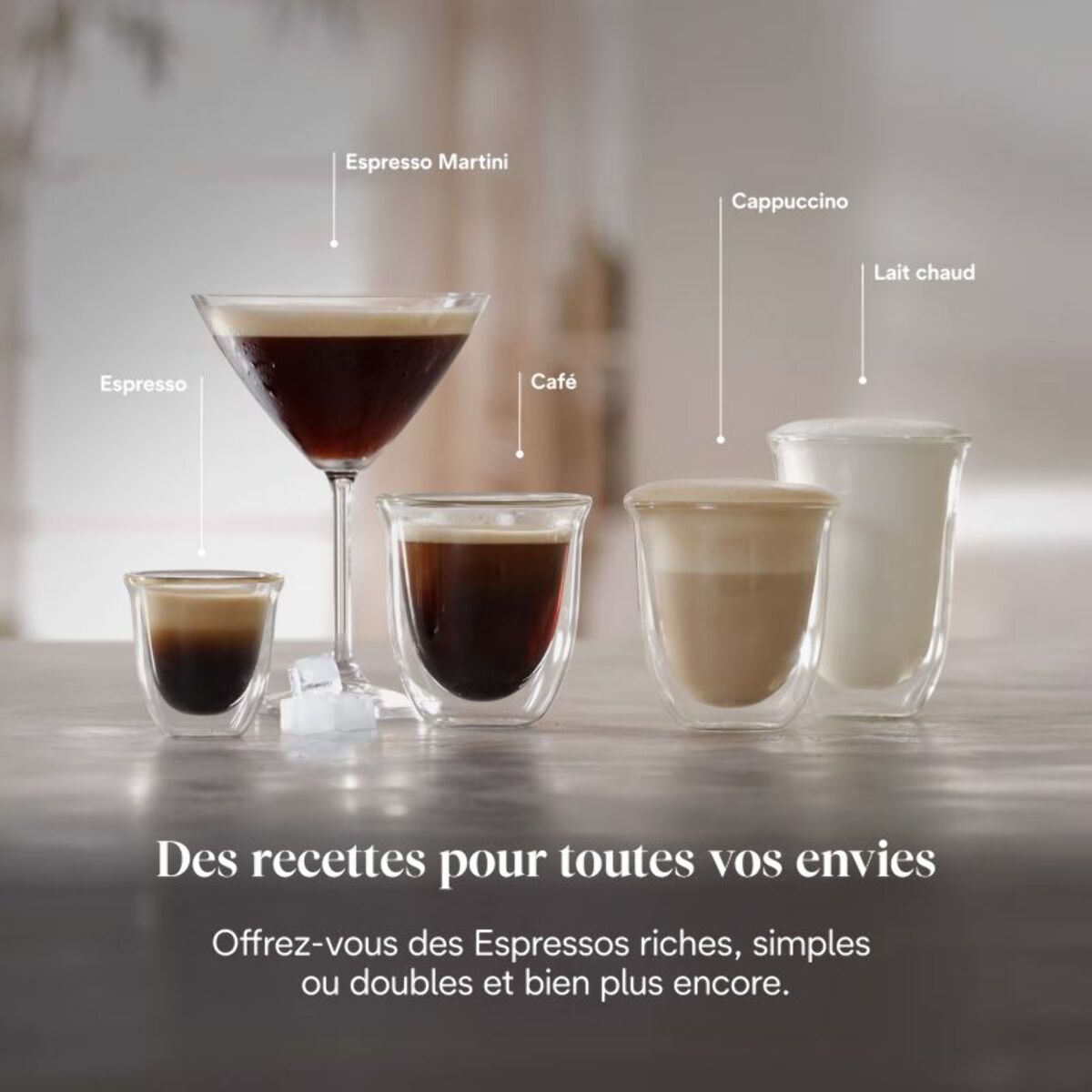 Machine à expresso DELONGHI Linea Classic EM450.M Argent