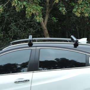 Barres de toit de voiture verrouillables 2 clés fournies dim. 125L x 5,5l x 7H cm aluminium gris noir