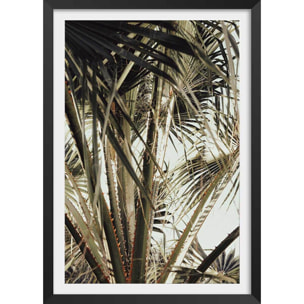 Poster cœur de palmier Affiche + cadre en bois - Noir