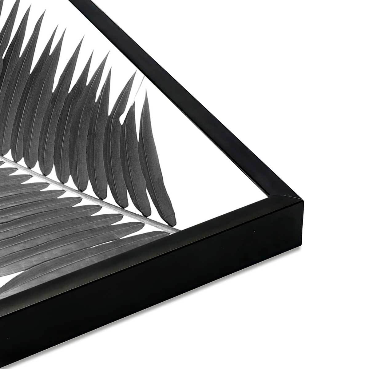 Affiche encadrée feuille de palmier noir et blanc Affiche + cadre en métal - Noir